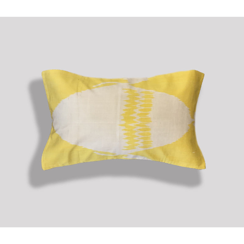 Velvet & Ikat Silk Pillow