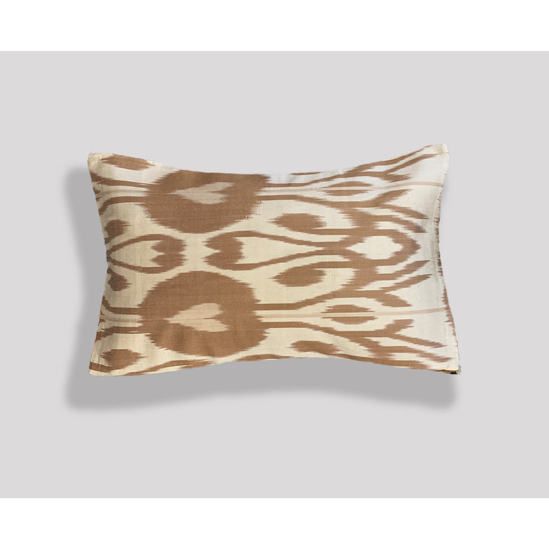 Velvet & Ikat Silk Pillow